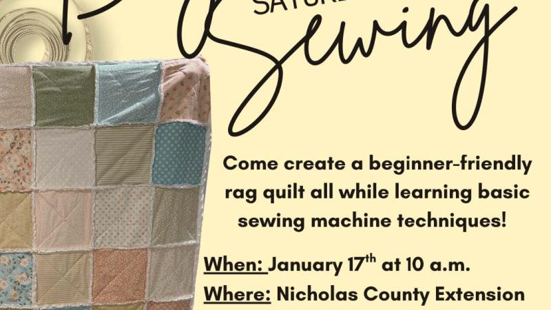 Adult Beginner Sewing