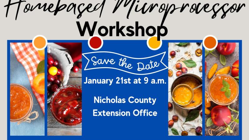 Homebased Microprocessor